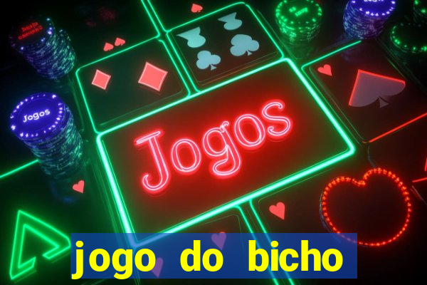 jogo do bicho crash bingo